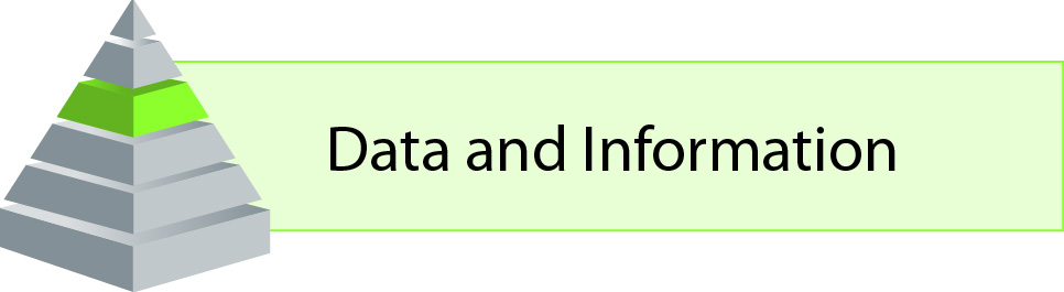 Data and Information Domain